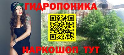 хмурый Будённовск