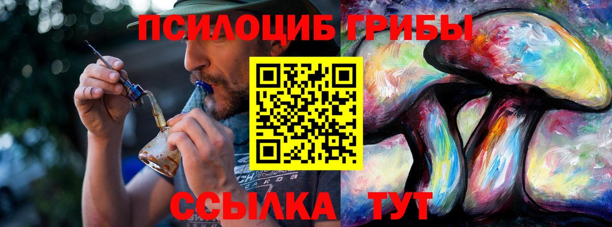 Галлюциногенные грибы мицелий  Галлюциногенные грибы GOLDEN TEACHER  Выкса 